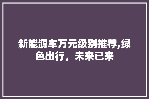 新能源车万元级别推荐,绿色出行，未来已来