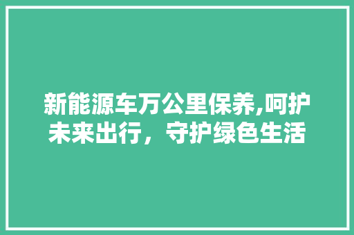 新能源车万公里保养,呵护未来出行，守护绿色生活