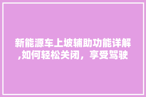 新能源车上坡辅助功能详解,如何轻松关闭，享受驾驶乐趣