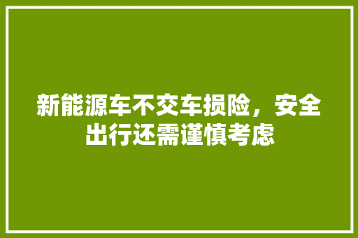 新能源车不交车损险，安全出行还需谨慎考虑