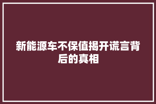 新能源车不保值揭开谎言背后的真相