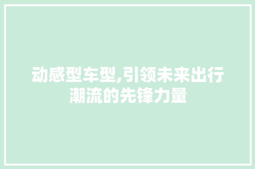 动感型车型,引领未来出行潮流的先锋力量