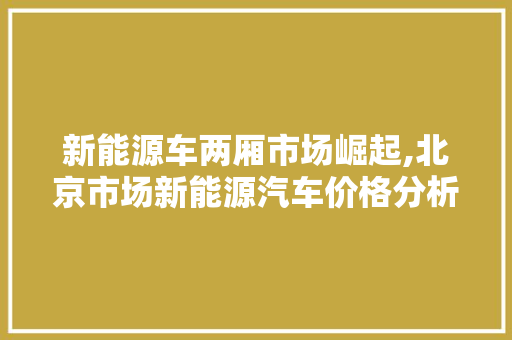 新能源车两厢市场崛起,北京市场新能源汽车价格分析 蓄电池配件