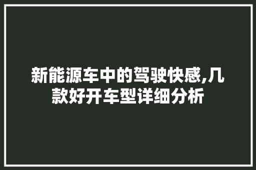 新能源车中的驾驶快感,几款好开车型详细分析