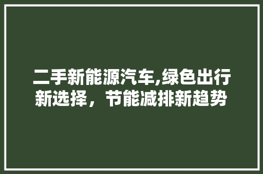 二手新能源汽车,绿色出行新选择，节能减排新趋势