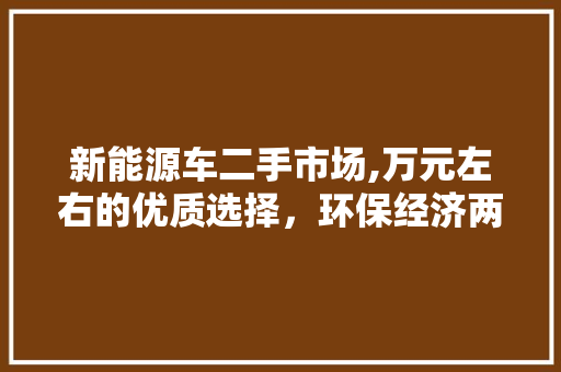 新能源车二手市场,万元左右的优质选择，环保经济两不误