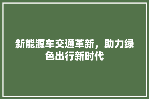新能源车交通革新，助力绿色出行新时代