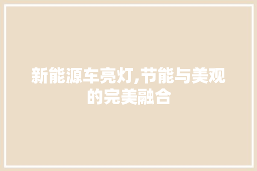 新能源车亮灯,节能与美观的完美融合