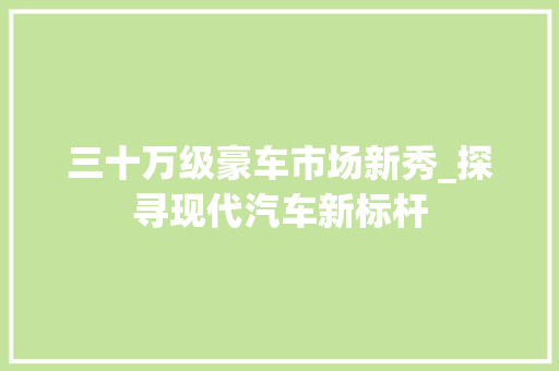 三十万级豪车市场新秀_探寻现代汽车新标杆