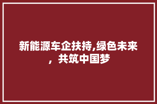新能源车企扶持,绿色未来，共筑中国梦