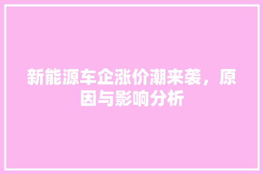 新能源车企涨价潮来袭，原因与影响分析