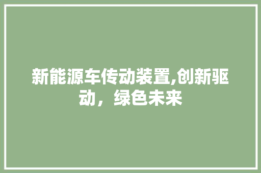 新能源车传动装置,创新驱动，绿色未来