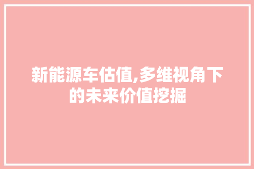 新能源车估值,多维视角下的未来价值挖掘