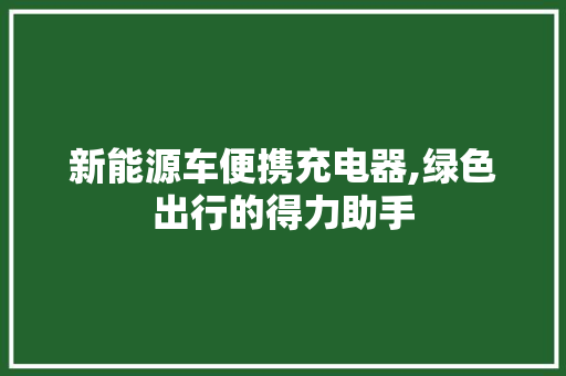 新能源车便携充电器,绿色出行的得力助手