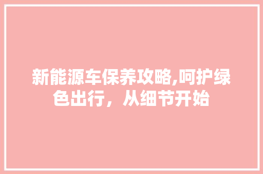 新能源车保养攻略,呵护绿色出行，从细节开始