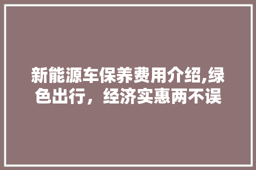新能源车保养费用介绍,绿色出行，经济实惠两不误