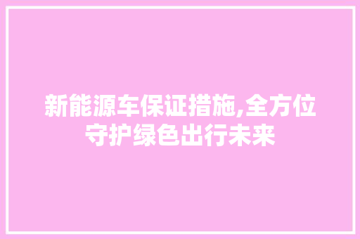 新能源车保证措施,全方位守护绿色出行未来