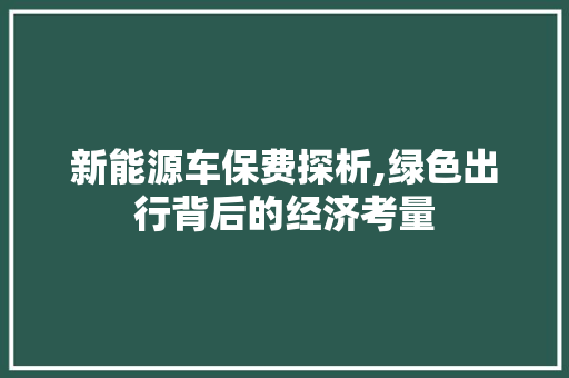 新能源车保费探析,绿色出行背后的经济考量