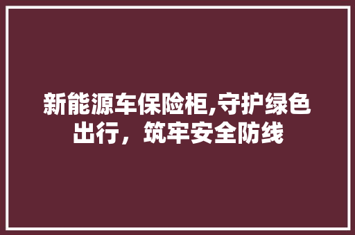 新能源车保险柜,守护绿色出行，筑牢安全防线
