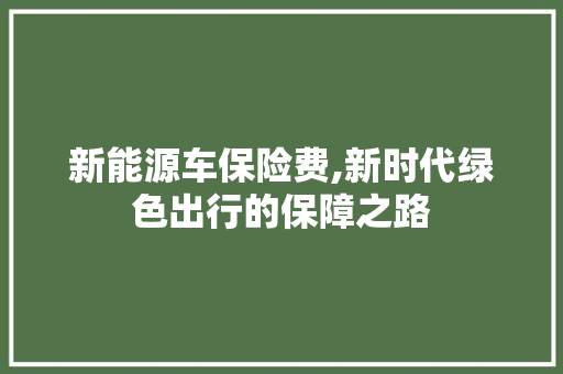 新能源车保险费,新时代绿色出行的保障之路