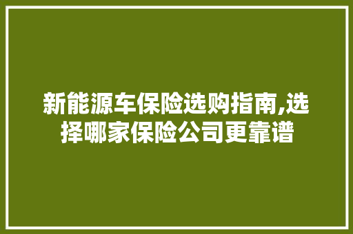 新能源车保险选购指南,选择哪家保险公司更靠谱