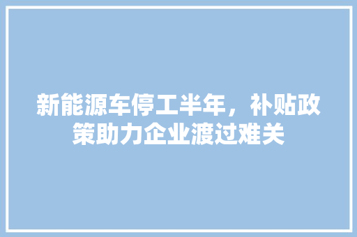 新能源车停工半年，补贴政策助力企业渡过难关