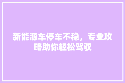 新能源车停车不稳，专业攻略助你轻松驾驭