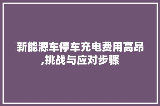 新能源车停车充电费用高昂,挑战与应对步骤
