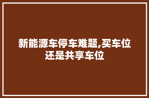 新能源车停车难题,买车位还是共享车位