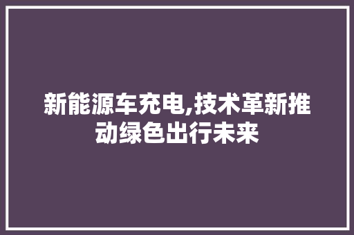 新能源车充电,技术革新推动绿色出行未来