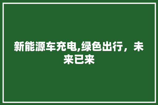 新能源车充电,绿色出行，未来已来 车灯配件