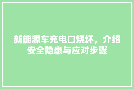 新能源车充电口烧坏，介绍安全隐患与应对步骤