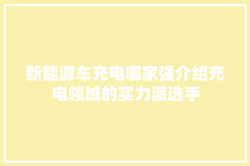 新能源车充电哪家强介绍充电领域的实力派选手