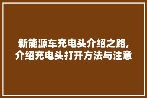 新能源车充电头介绍之路,介绍充电头打开方法与注意事项