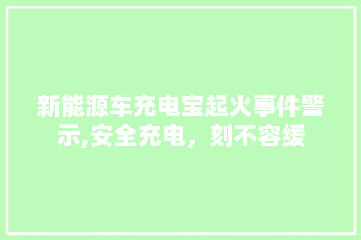新能源车充电宝起火事件警示,安全充电，刻不容缓