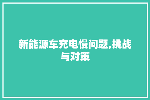 新能源车充电慢问题,挑战与对策