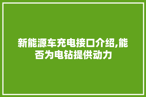新能源车充电接口介绍,能否为电钻提供动力