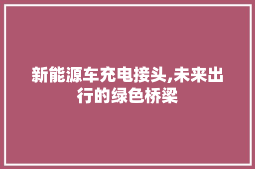 新能源车充电接头,未来出行的绿色桥梁