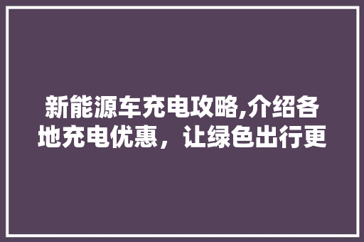 新能源车充电攻略,介绍各地充电优惠，让绿色出行更经济