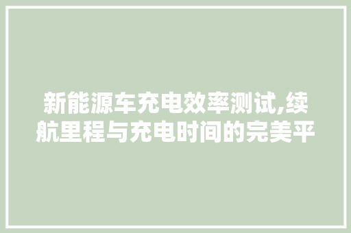 新能源车充电效率测试,续航里程与充电时间的完美平衡