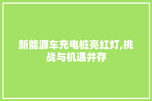 新能源车充电桩亮红灯,挑战与机遇并存