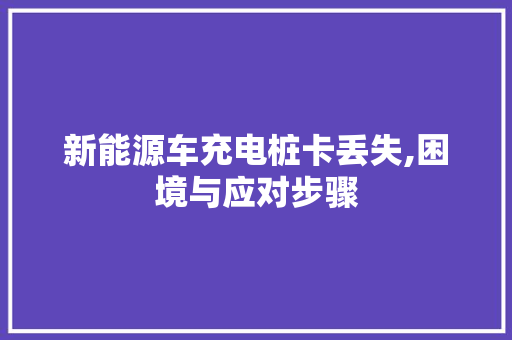 新能源车充电桩卡丢失,困境与应对步骤