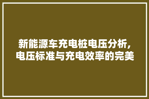新能源车充电桩电压分析,电压标准与充电效率的完美平衡