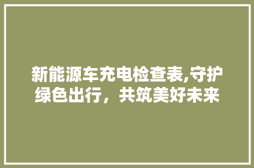 新能源车充电检查表,守护绿色出行，共筑美好未来