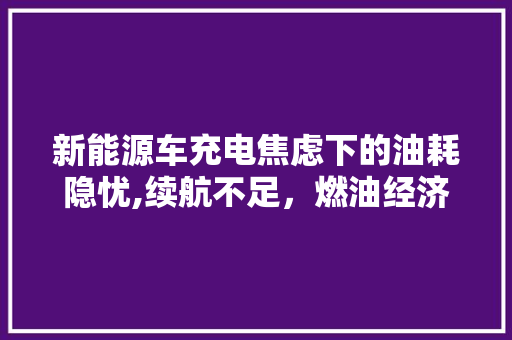 新能源车充电焦虑下的油耗隐忧,续航不足，燃油经济性受挑战