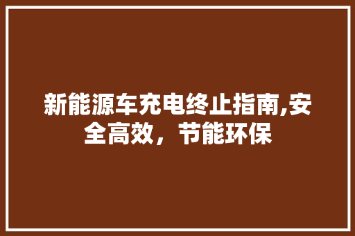 新能源车充电终止指南,安全高效，节能环保