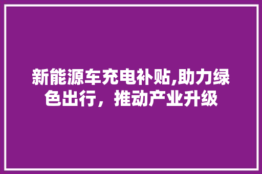 新能源车充电补贴,助力绿色出行，推动产业升级