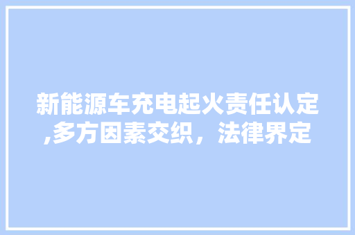 新能源车充电起火责任认定,多方因素交织，法律界定亟待明确