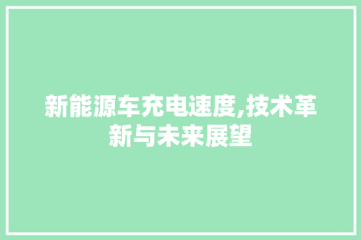 新能源车充电速度,技术革新与未来展望