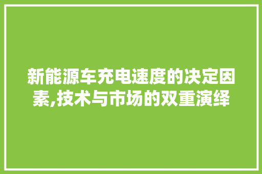 新能源车充电速度的决定因素,技术与市场的双重演绎